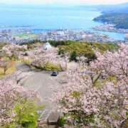 ヒメ日記 2025/06/20 11:00 投稿 桃井　もも セレブクィーン