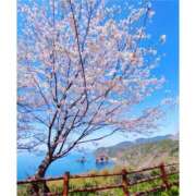 ヒメ日記 2025/06/23 10:00 投稿 桃井　もも セレブクィーン