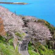 ヒメ日記 2025/06/24 10:00 投稿 桃井　もも セレブクィーン