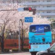 ヒメ日記 2025/06/28 09:59 投稿 桃井　もも セレブクィーン