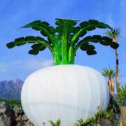 ヒメ日記 2025/08/11 13:02 投稿 桃井　もも セレブクィーン