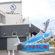 ヒメ日記 2025/08/24 10:00 投稿 桃井　もも セレブクィーン