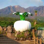 ヒメ日記 2025/09/03 10:00 投稿 桃井　もも セレブクィーン