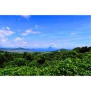 ヒメ日記 2025/11/22 10:00 投稿 桃井　もも セレブクィーン