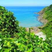 ヒメ日記 2025/12/31 09:59 投稿 桃井　もも セレブクィーン