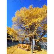 ヒメ日記 2026/01/03 10:00 投稿 桃井　もも セレブクィーン