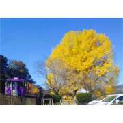 ヒメ日記 2026/01/04 10:00 投稿 桃井　もも セレブクィーン