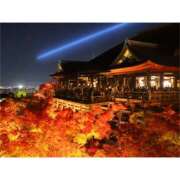 ヒメ日記 2026/01/09 09:59 投稿 桃井　もも セレブクィーン