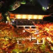 ヒメ日記 2026/01/10 10:00 投稿 桃井　もも セレブクィーン