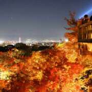 ヒメ日記 2026/01/12 09:59 投稿 桃井　もも セレブクィーン