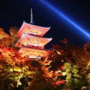 ヒメ日記 2026/01/13 10:00 投稿 桃井　もも セレブクィーン