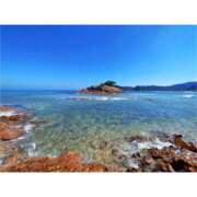 ヒメ日記 2026/01/15 10:00 投稿 桃井　もも セレブクィーン