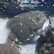 ヒメ日記 2026/01/28 10:00 投稿 桃井　もも セレブクィーン