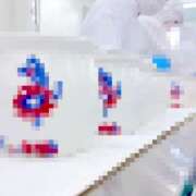 ヒメ日記 2026/02/07 10:00 投稿 桃井　もも セレブクィーン