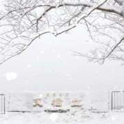 ヒメ日記 2026/02/27 10:00 投稿 桃井　もも セレブクィーン