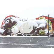 ヒメ日記 2026/03/12 10:00 投稿 桃井　もも セレブクィーン