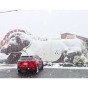 ヒメ日記 2026/03/13 10:00 投稿 桃井　もも セレブクィーン