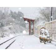 ヒメ日記 2026/03/16 09:59 投稿 桃井　もも セレブクィーン