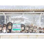 ヒメ日記 2026/03/19 10:00 投稿 桃井　もも セレブクィーン