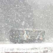 ヒメ日記 2026/03/22 10:00 投稿 桃井　もも セレブクィーン