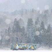 ヒメ日記 2026/03/23 12:59 投稿 桃井　もも セレブクィーン