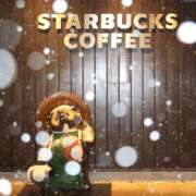 ヒメ日記 2026/03/25 10:00 投稿 桃井　もも セレブクィーン