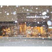 ヒメ日記 2026/03/26 10:00 投稿 桃井　もも セレブクィーン