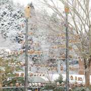 ヒメ日記 2026/03/28 10:00 投稿 桃井　もも セレブクィーン