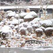 ヒメ日記 2026/03/30 10:00 投稿 桃井　もも セレブクィーン