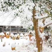 ヒメ日記 2026/03/31 10:00 投稿 桃井　もも セレブクィーン