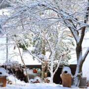 ヒメ日記 2026/04/01 10:00 投稿 桃井　もも セレブクィーン