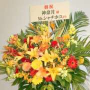 ヒメ日記 2026/05/18 10:00 投稿 桃井　もも セレブクィーン
