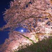 ヒメ日記 2026/06/05 10:19 投稿 桃井　もも セレブクィーン