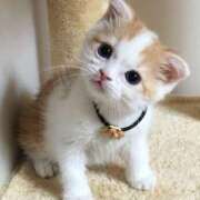 ヒメ日記 2025/09/18 10:48 投稿 せいな 即アポマダム～名古屋店～