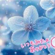 ヒメ日記 2024/12/20 00:50 投稿 ゆう 奥様の実話 なんば店