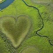 ヒメ日記 2024/12/20 01:04 投稿 ゆう 奥様の実話 なんば店