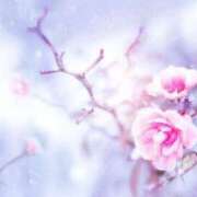 ヒメ日記 2025/01/23 21:55 投稿 ゆう 奥様の実話 なんば店