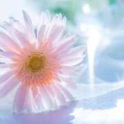 ヒメ日記 2025/02/01 22:18 投稿 ゆう 奥様の実話 なんば店