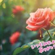 ゆう ありがとうございます♡ 奥様の実話 なんば店