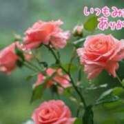 ヒメ日記 2025/04/25 01:09 投稿 ゆう 奥様の実話 なんば店