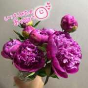 ヒメ日記 2025/06/29 23:56 投稿 ゆう 奥様の実話 なんば店