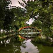 ヒメ日記 2025/07/07 23:53 投稿 ゆう 奥様の実話 なんば店