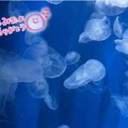 ヒメ日記 2025/07/17 22:29 投稿 ゆう 奥様の実話 なんば店