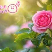 ヒメ日記 2025/08/07 00:37 投稿 ゆう 奥様の実話 なんば店