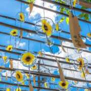 ヒメ日記 2025/08/11 23:36 投稿 ゆう 奥様の実話 なんば店