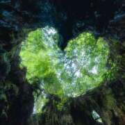 ヒメ日記 2025/08/17 23:03 投稿 ゆう 奥様の実話 なんば店