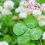 ゆう ありがとうです♡ 奥様の実話 なんば店