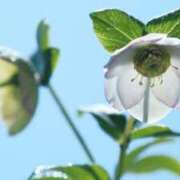 ゆう おつかれサマです♡ 奥様の実話 なんば店