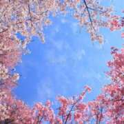 ゆう おはようございます☀️ 奥様の実話 なんば店