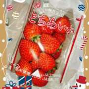 ヒメ日記 2024/12/13 08:20 投稿 にゃん 熟女の風俗最終章 宇都宮店